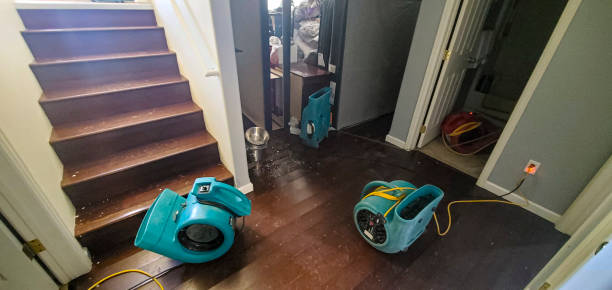 Best Water damage contractors near me  in West Fork, AR