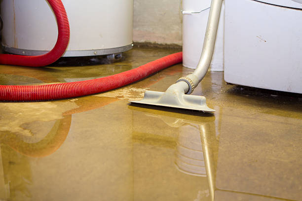 Best Flooded house restoration  in West Fork, AR